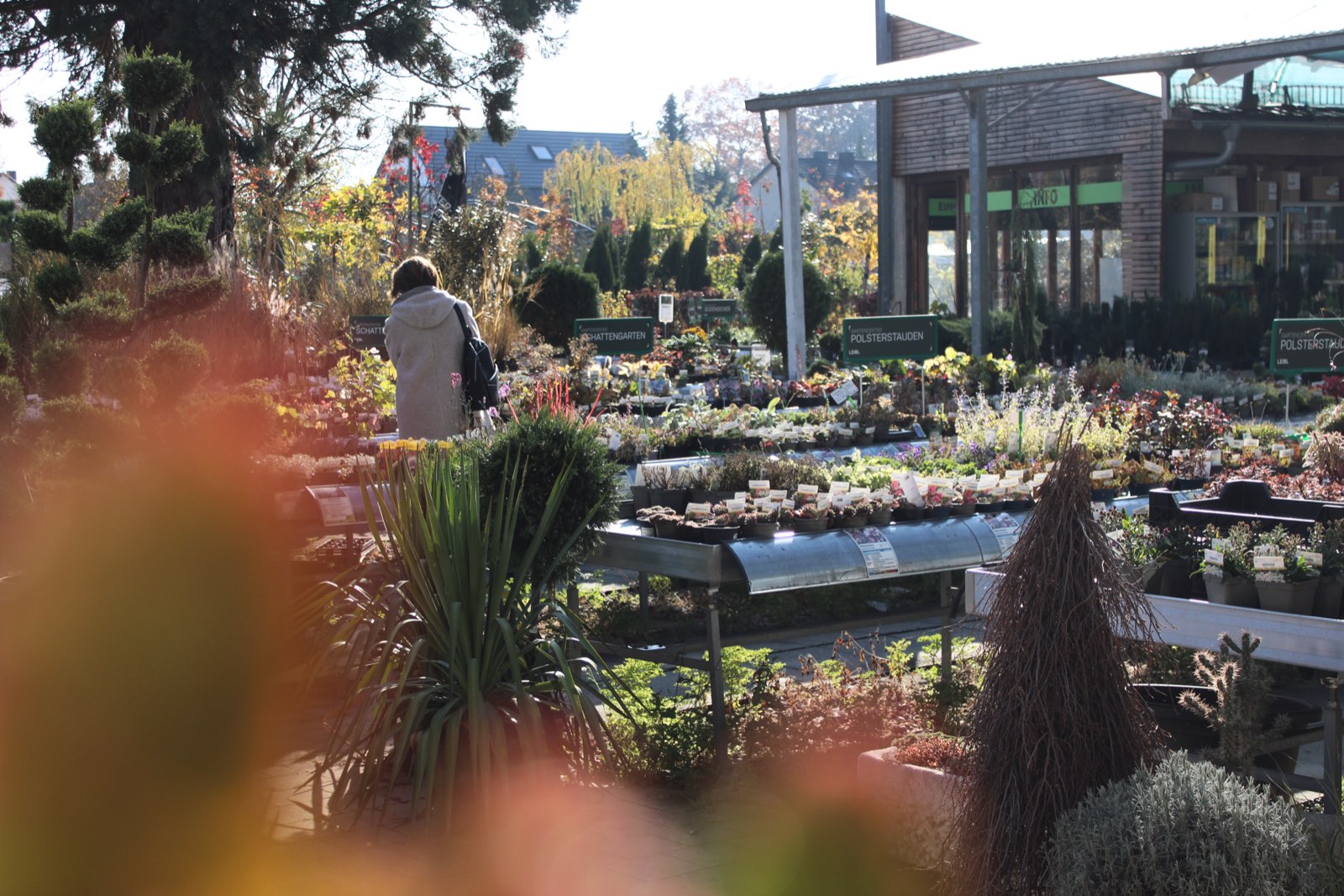 Freiland im Gartencenter Leibl