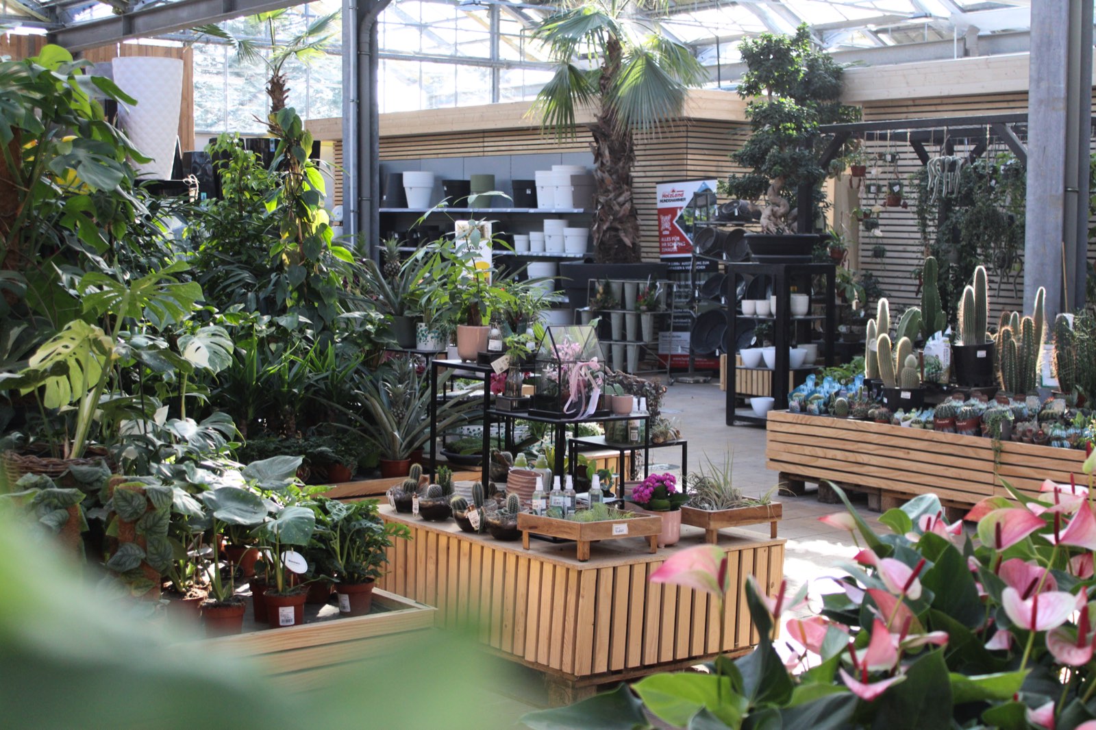 Markthalle mit Zimmerpflanzen